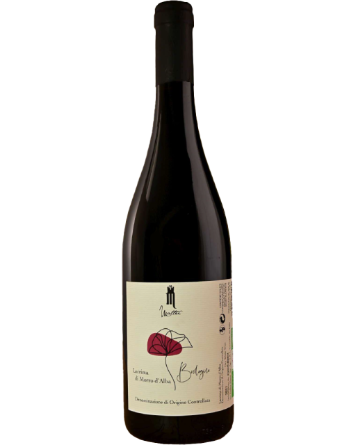 Lacrima di Morro d'Alba